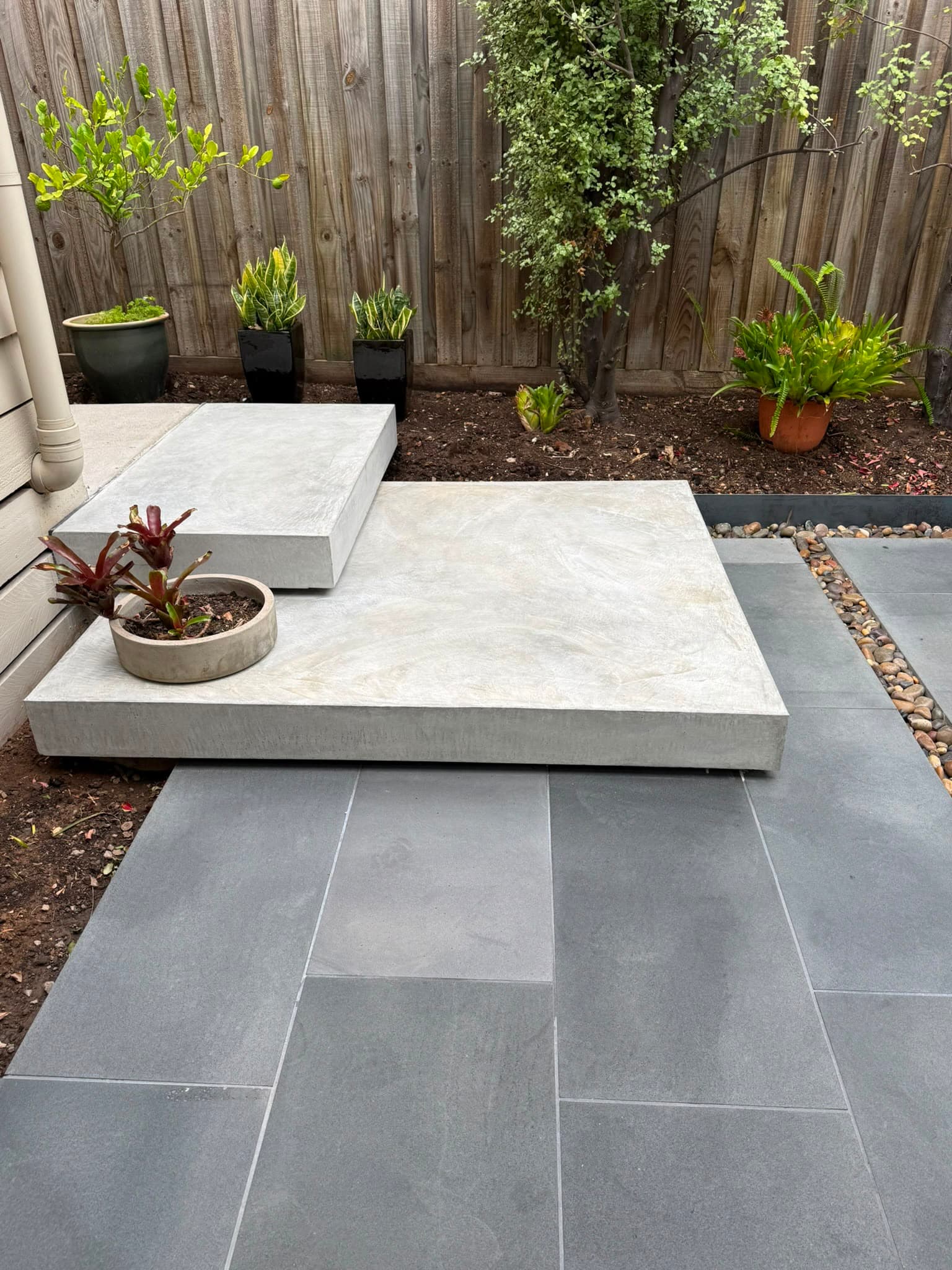 Compact courtyard with dark paving, steps and succulent plantings